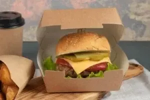 Eco-Friendly Compostable Food Packaging Containers for Safe Sustainable Food Storage